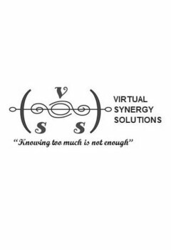 VIRTUAL SYNERGY SOLUTIONS V S S "KNOWING TOO MUCH IS NOT ENOUGH"