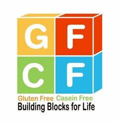 GFCF GLUTEN FREE CASEIN FREE BUILDING BLOCKS FOR LIFE