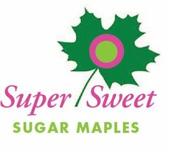 SUPER SWEET SUGAR MAPLES