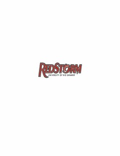 REDSTORM UNIVERSITY OF RIO GRANDE