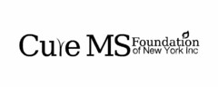 CURE MS FOUNDATION OF NEW YORK INC