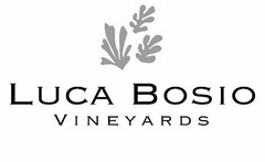 LUCA BOSIO VINEYARDS