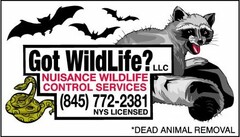 GOT WILDLIFE? LLC NUISANCE WILDLIFE CONTROL SERVICES (845)772-2381