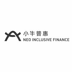 NEO INCLUSIVE FINANCE