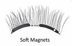 SOFT MAGNETS