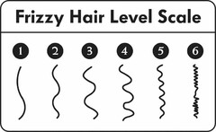 FRIZZY HAIR LEVEL SCALE