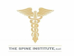 THE SPINE INSTITUTE, LLC