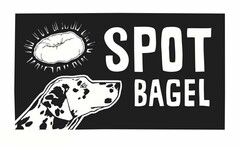 SPOT BAGEL