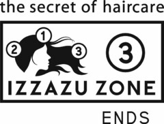 THE SECRET OF HAIRCARE 2 1 3 3 IZZAZU ZONE ENDS