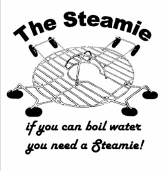 THE STEAMIE IF YOU CAN BOIL WATER YOU NEED A STEAMIE!