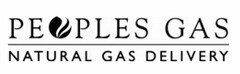 PEOPLES GAS NATURAL GAS DELIVERY