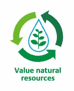 VALUE NATURAL RESOURCES