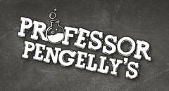 PROFESSOR PENGELLY'S