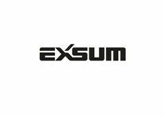 EXSUM