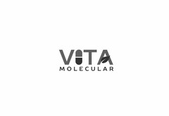 VITA MOLECULAR