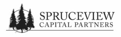 SPRUCEVIEW CAPITAL PARTNERS