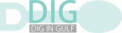 DIG DIG IN GULF