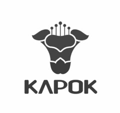 KAPOK