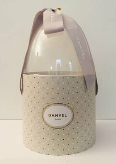 DAMYEL PARIS