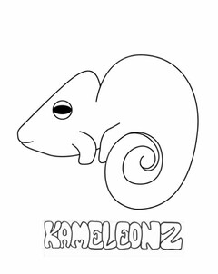 KAMELEONZ