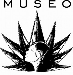 MUSEO