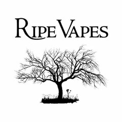 RIPE VAPES