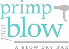 PRIMP AND BLOW A BLOW DRY BAR