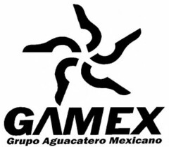 GAMEX GRUPO AGUACATERO MEXICANO