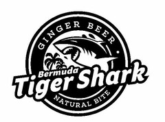 BERMUDA TIGER SHARK GINGER BEER NATURALBITE