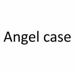 ANGEL CASE