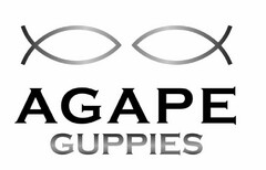 AGAPE GUPPIES