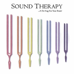 SOUND THERAPY...A DE-FRAG FOR YOUR BRAIN!