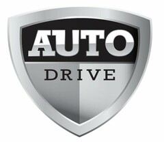 AUTO DRIVE