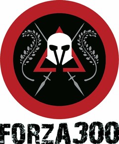 FORZA300