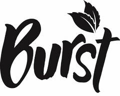 BURST