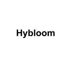 HYBLOOM