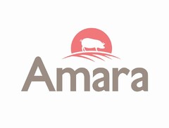 AMARA