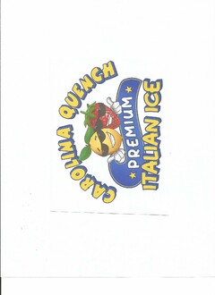 CAROLINA QUENCH PREMIUM ITALIAN ICE