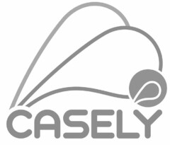 CASELY