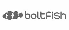 BOLTFISH