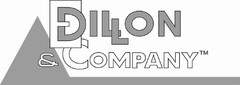 E DILLON & COMPANY