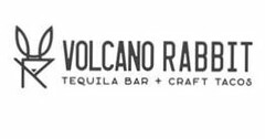 VOLCANO RABBIT TEQUILA BAR + CRAFT TACOS