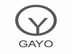 Y O GAYO