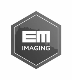 EM IMAGING