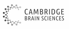 CAMBRIDGE BRAIN SCIENCES