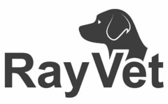 RAYVET