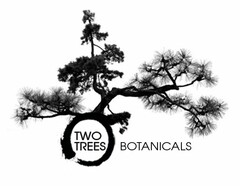 TWO TREES BOTANICALS