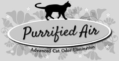 PURIFIED AIR ADVANCED CAT ODOR ELIMINATION