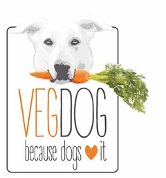 VEGDOG BECAUSE DOGS IT