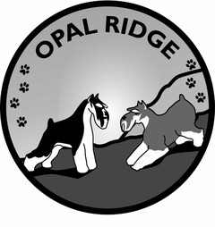 OPAL RIDGE